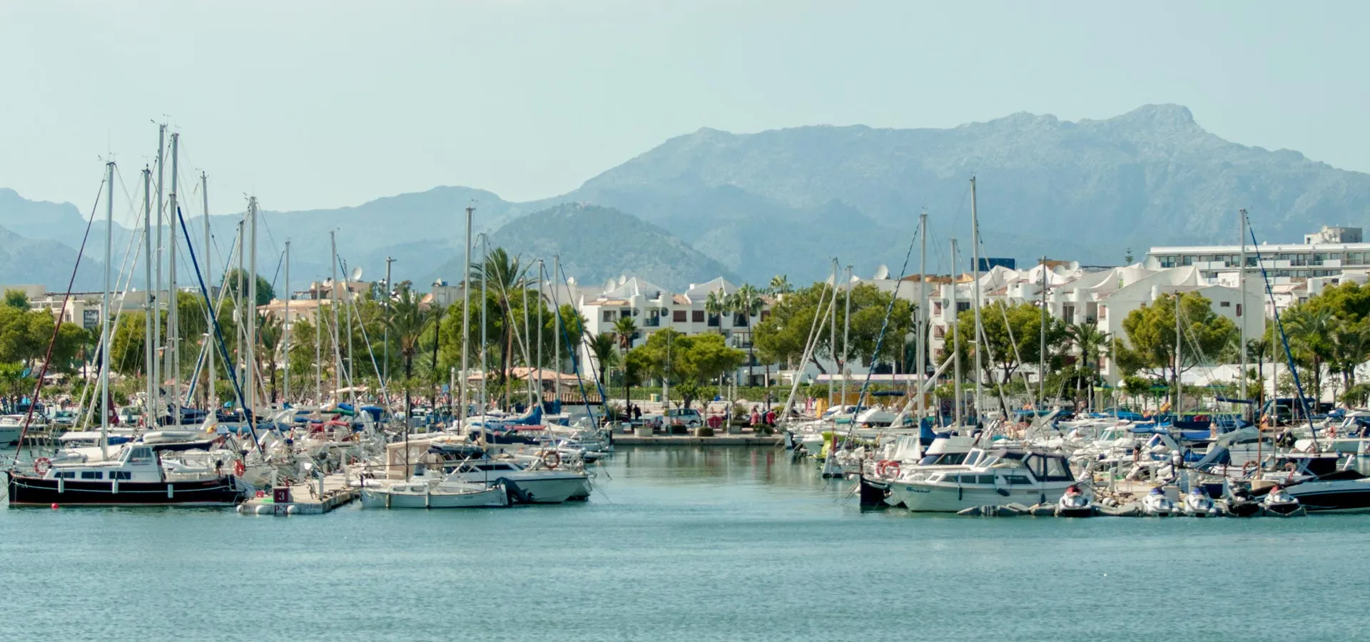 Alcudia property market surroundings.