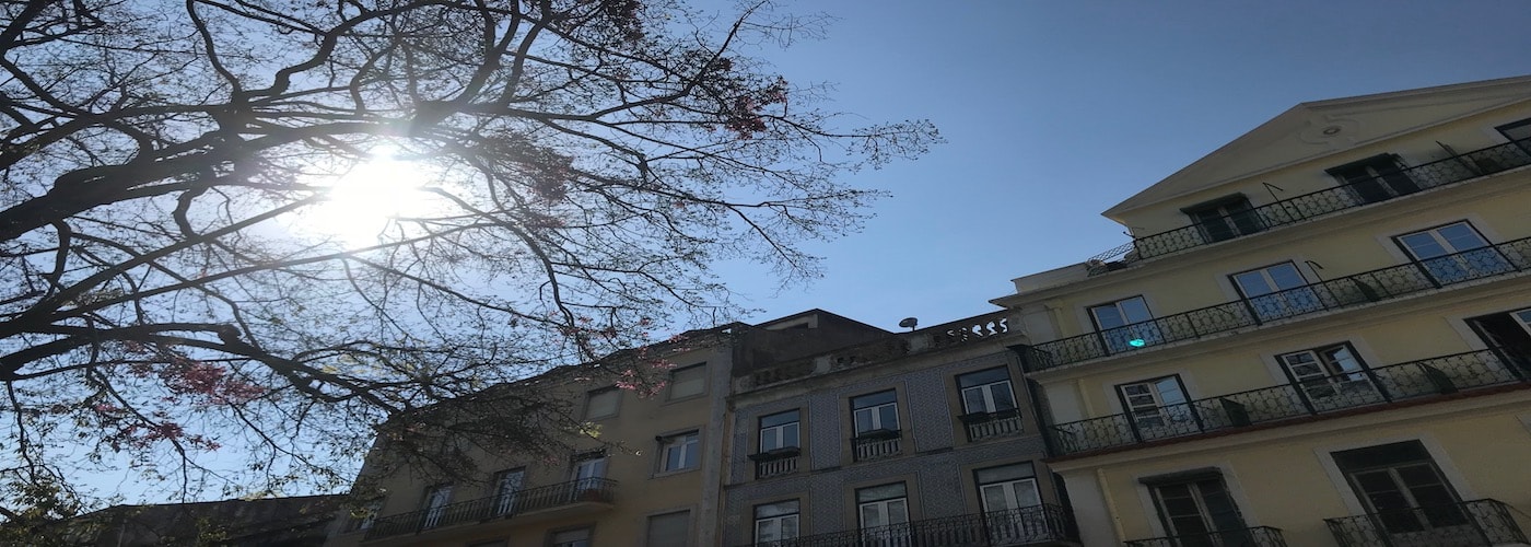 alvalade property casafari metasearch