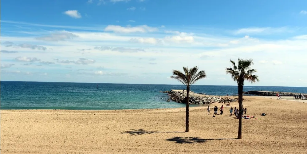 beach of barceloneta property guide casafari spain ciutat vella barcelona
