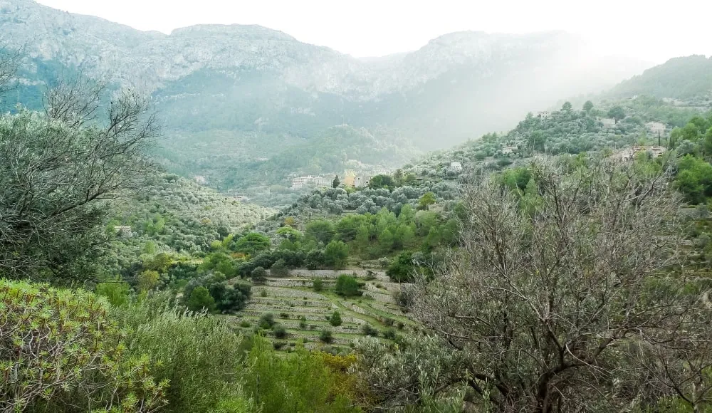 Hiking trail view overlooking the Serra de Tramuntana mountains and sea