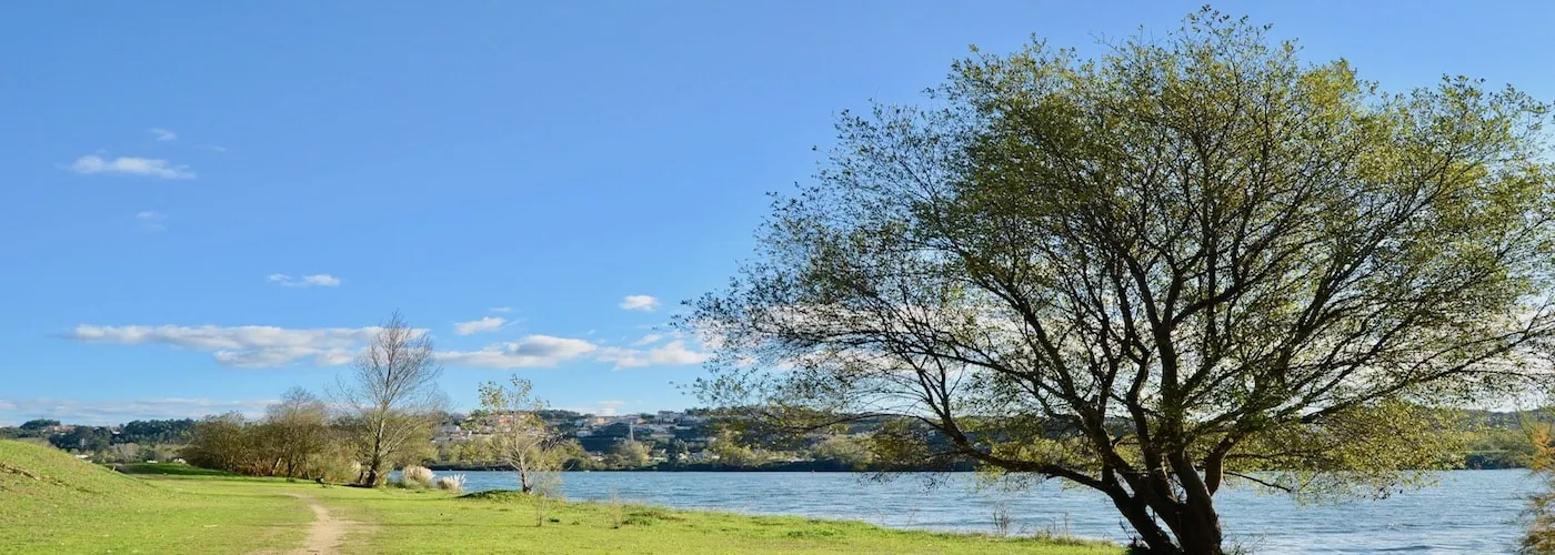 Tree-lined bank of the River Douro at Gondomar on a clear day