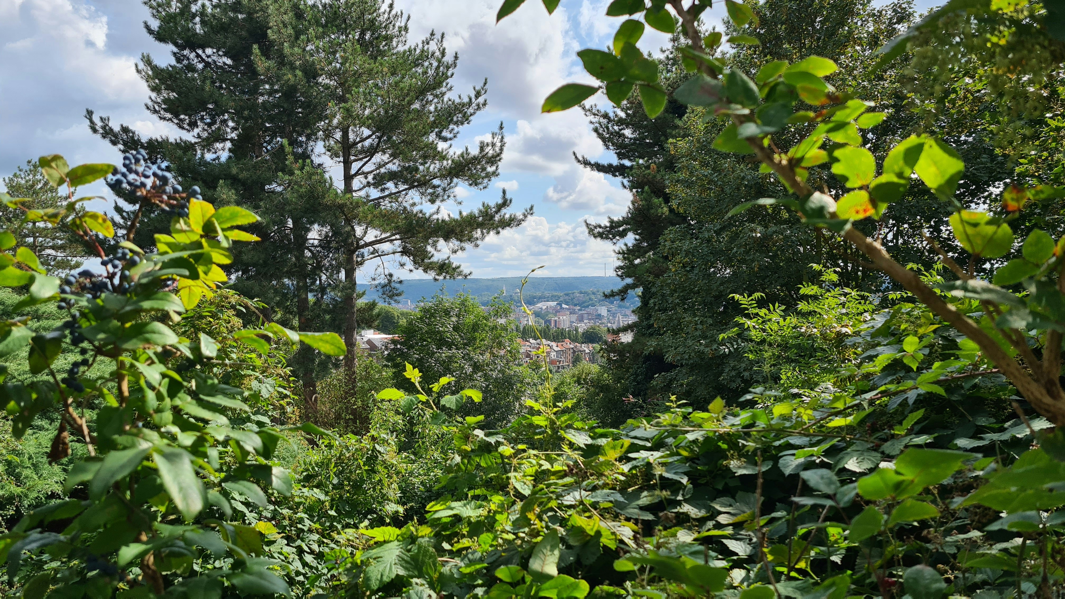 Parc de la Boverie, à Liège