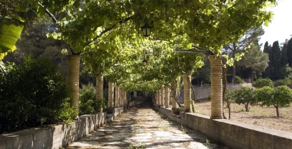 Llucmajor Town property owners can choose to relac in local gardens.