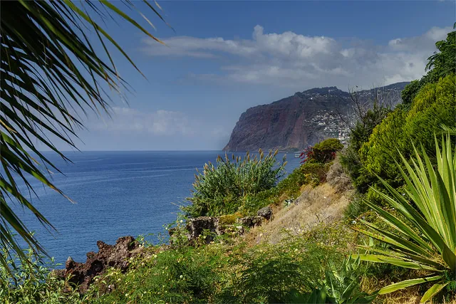 madeira casafari metasearch