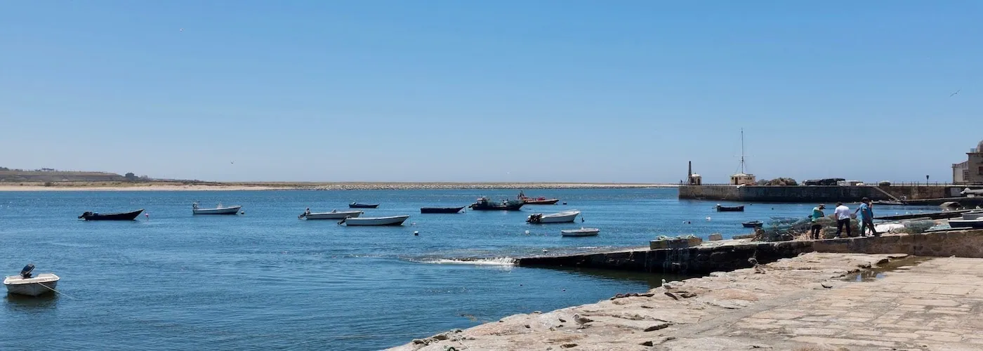 matosinhos property guide