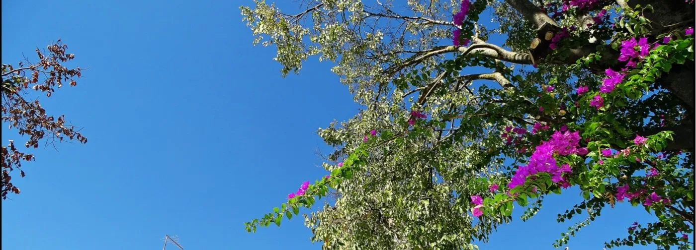 loule property guide by casafari hero picture algarve portugal