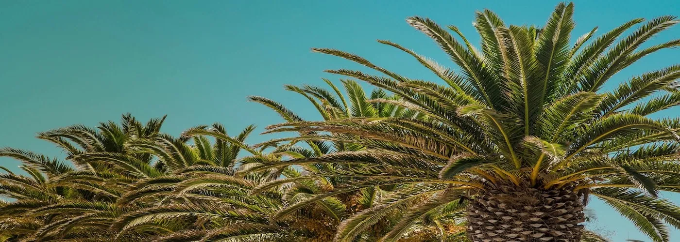 Olhão Algarve Portugal