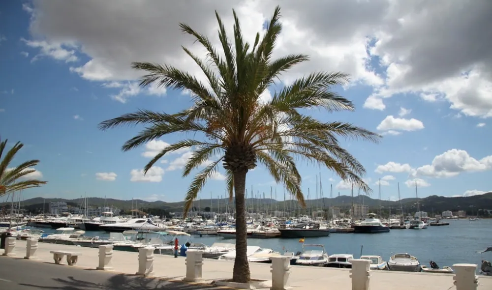 club nautic marina boarwalk sant antony de portmany ibiza spain casafari