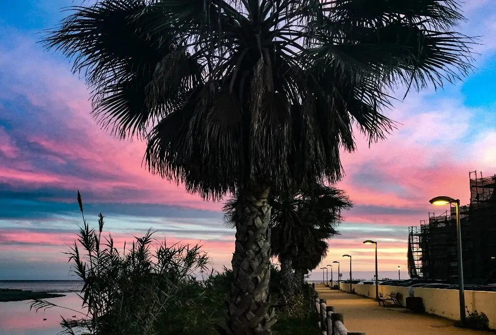Immobles a San Pedro de Alcántara