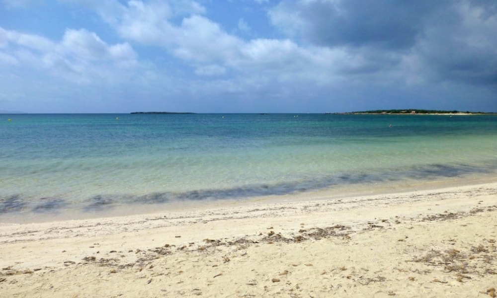 Ses Salines Town property market is surrounded by beautiful nature like beach es carbo.