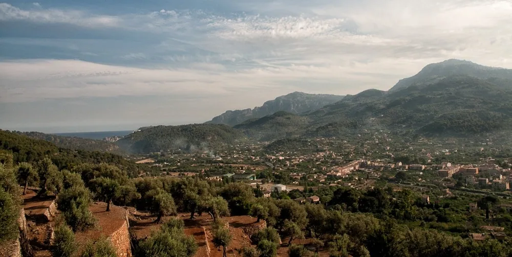 Soller property market view.