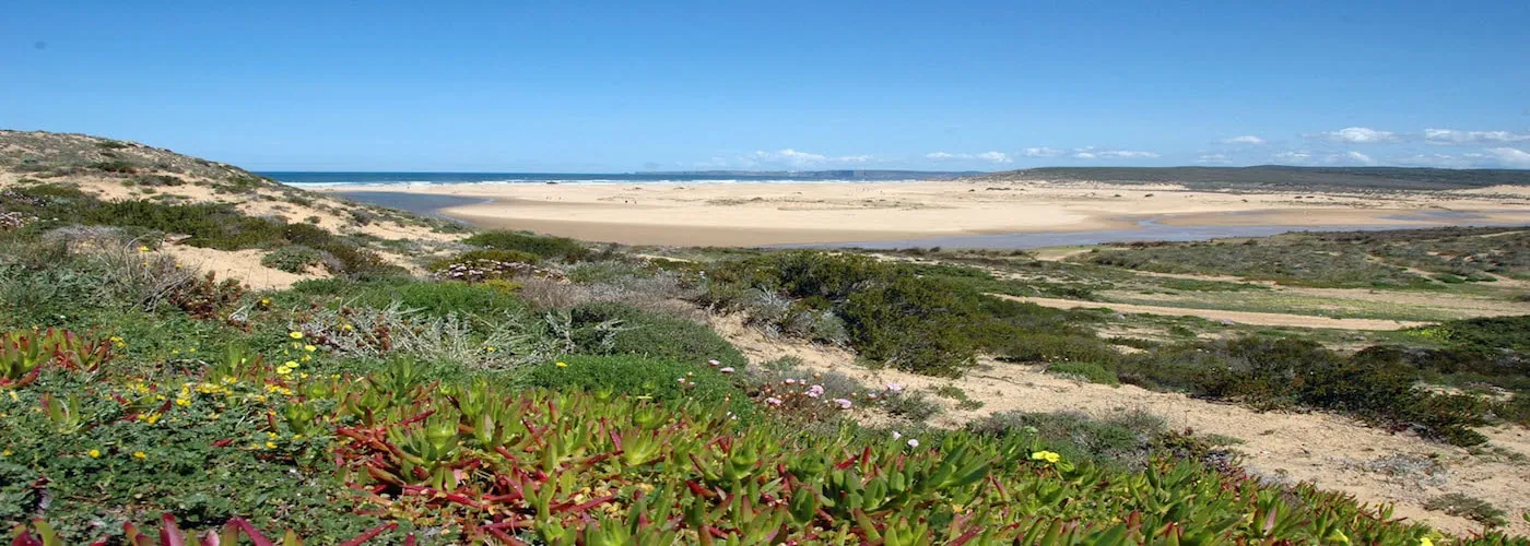Vila do Bispo Property Guide