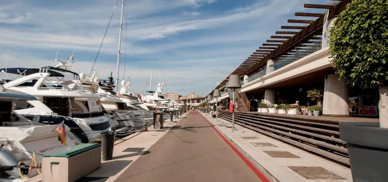 Marina plena de iots a Mallorca